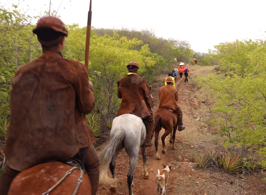 Vivência nas Veredas